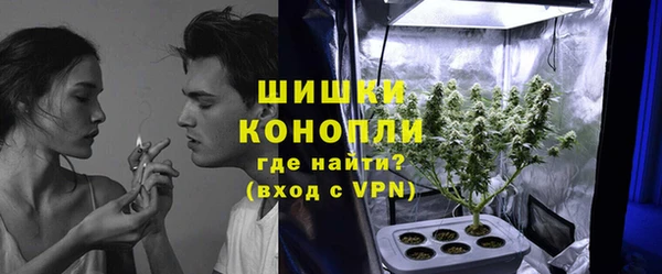 каннабис Богданович